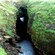 Una cueva marina cubierta de pasto